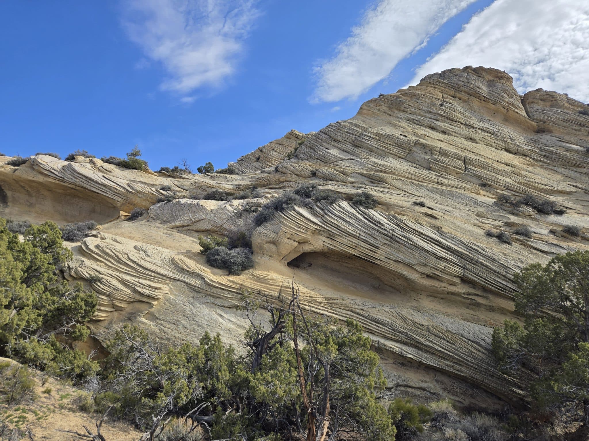 Desert canyon with red rock formations