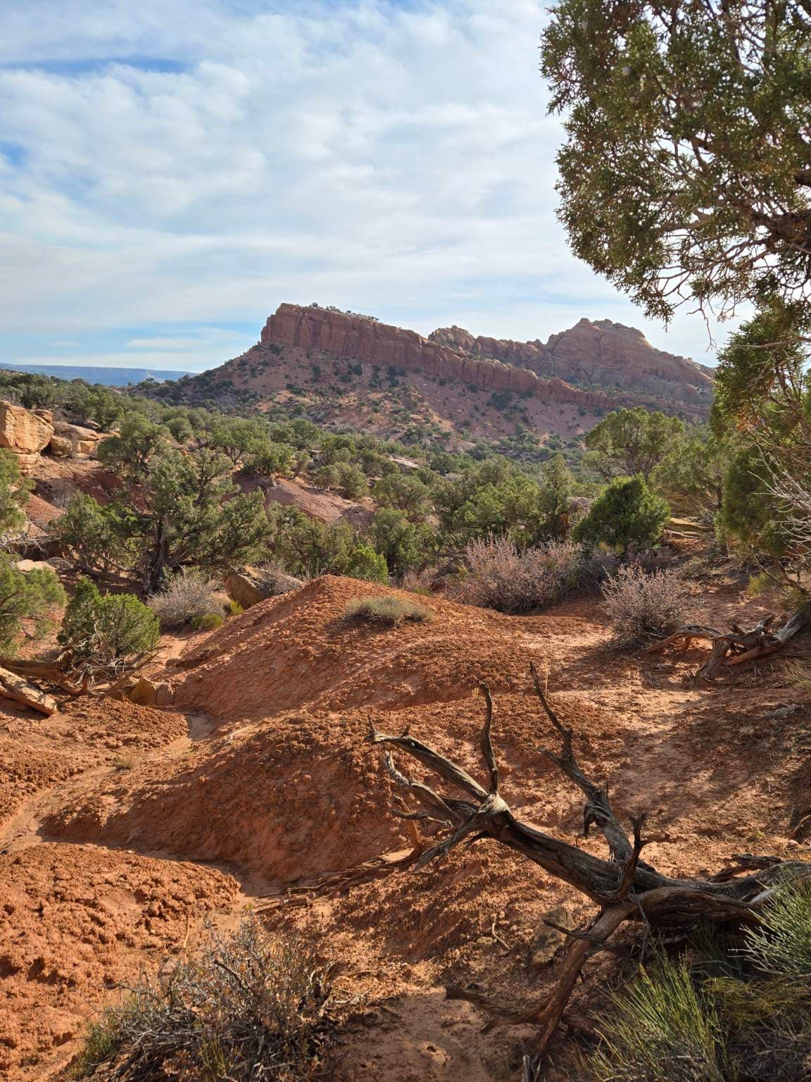 Battleship Loop