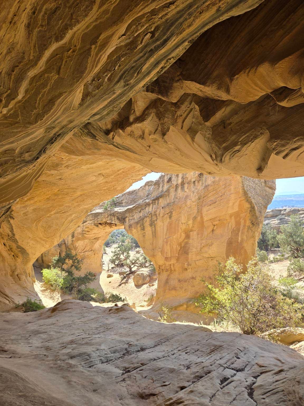 Moonshine Arch