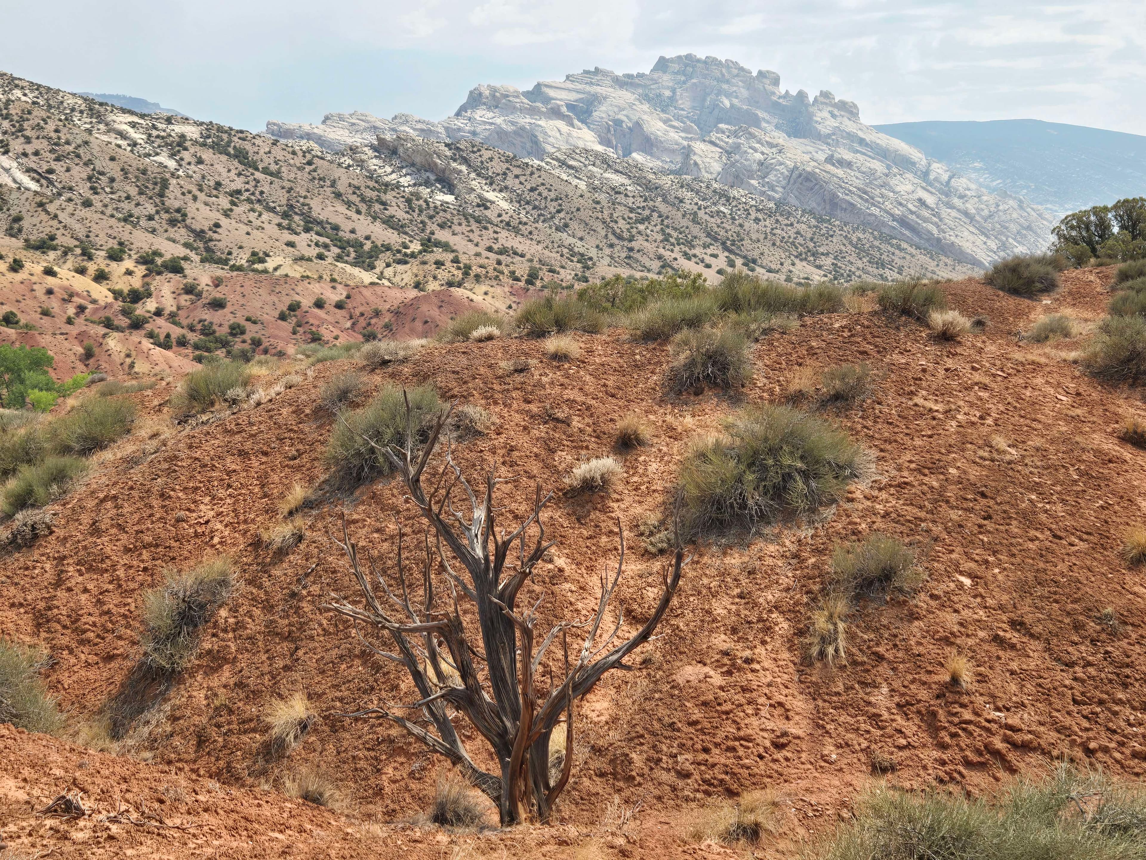 Why Vernal is Called 'Dinosaur Country'